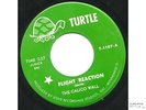 Rare 1967 MN psych 45 - CALICO WALL- Turtle