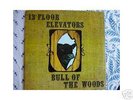 13th FLOOR ELEVATORS Bull of the Woods Psych