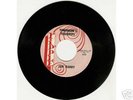 JAN BERRY RIPPLE LABEL 1961  45  JAN & DEAN
