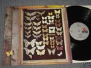 PSYCH FOLK MAYFLY - S/T DUTCH LP ORIGINAL