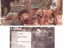 Bollywood JUNGLE MOVIE Bappi Lahiri TARZAN