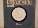 THE HAIRY ONES(Very rare 60's punk-beat 7