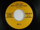 MC 5 (garage 45) CAN ONLY GIVE YOU EVERYTHING AMG