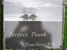 Perfect Touch - Super Rare Detroit Modern Soul LP