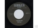 MOLOCH:Private Psych Rural Blues Rock 45