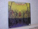 Rare Texas Bluesy Psyche Rock, American Blues, NM