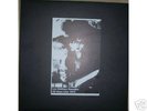 Taj Mahal Travellers/Les Rallizes Denudes- lp MINT