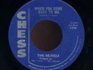 DOO WOP 45 RE-VELS-WHEN YOU COME BACK TO ME -orig CHESS