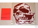 orchid/jeromes dream skull 10