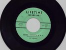 Killer Early 60's Rocker 45- Tempests-Rockin' Rochester