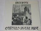 DRNWYN gypsies in the mist OR LP USA RARE PSYCH FOLK