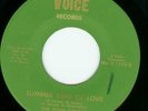 NORTHERN SOUL-THE FOUR VOICES-GREEN VOICE