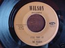 Rare Texas Garage 45  The Felicity on Wilson Don Henley