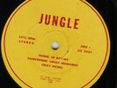 Psych private press: JUNGLE monster rare original copy