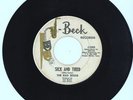 The Bad Seeds Garage 45 J-Beck like Zakary Thaks