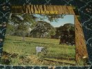 DAYLIGHT  same  RARE UK RCA LABEL ORIGINAL PROG LP 1971