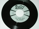 Rare Texas Garage 45 : The Tracers on Sully Records