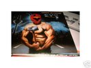 Evo. Animal de Ciudad LP. Spanish Heavy Metal. Spain