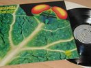 CATAPILLA Changes UK Vertigo Spiral 72 NEAR MINT- ALL