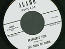 Sons Of Adam-Feathered Fish.60’s psych garage 45.LISTEN