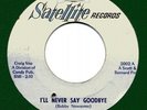 V.RARE = VONTASTICS = I'll Never Say Goodbye  (ORIG)