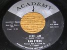 Ann Byers NORTHERN SOUL 45 Here I Am like new condition
