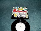 Beatles rare UK Christmas Flexi from 1966 for Fan club