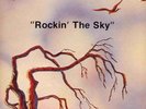 RARE ORIG RURAL PSYCH LP ALBATROSS Rockin' The Sky 1975