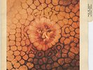KING CRIMSON Cat Food/Groon FRA 7