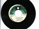 FIRST LIGHT/WHY - BERESFORD HAMMOND [REGGAE]  7