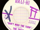 THE TREES - DON'T MISS THE TURN - 60'S GARAGE/PSYCHE 45