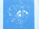 CHANTAL WEBER  private femme folk psych RARE French LP