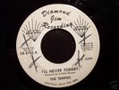 Rare Northern Soul 45 THE TEMPOS on DIAMOND JIM