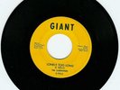 Northern Soul - Sandpipers on Giant - RARE GREAT