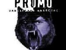 Promo - Dance Floor Hardcore - File 001 Very Rare
