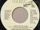 JAMES WALSH GYPSY BAND - Cuz It's You Girl - LISTEN