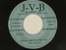 THE GALES doo wop 45 DARLING PATRICIA J-V-B