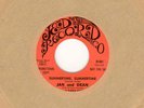 JAN AND DEAN   D.J. 45 RPM - on J & D RECORDS  -  MINT
