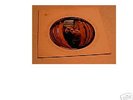 CAPTAIN BEEFHEART LP SAFE AS MILK RED BUDDAH + STICKER