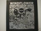 RARE  Windflower  Dreams  psych/prog        Near Mint