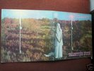 COLOSSEUM: Valentyne Suite, UK Vertigo psych MINT-***