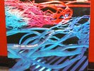 Psych HAIRY CHAPTER -Can't Get Through LP krautrock NR