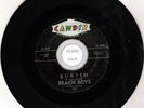 *FLASHBACK* BEACH BOYS 