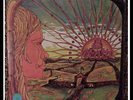REBIRTH THE CHILDREN RARE PSYCH LP  SD33-271 SEALED NR