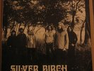 SILVER BIRCH UK VINYL LP BRAYFORD RECORDS 1974