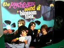 BLOSSOM TOES:LP-THE PSYCHEDELIC SOUND OF-ITALY '69
