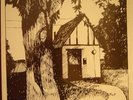 “Cottage Songs” by Naomi RARE ACID FOLK