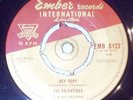 THE VALENTINES - RARE 45 - HEY RUBY -ON EMBER-S 123