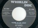 CHANNELS ON WHIRLIN DISC #109 FLAMES IN MY HEART