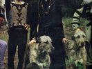Bonzo Dog Band:Doughnut in Granny's.UK.LIBERTY LP,MINT